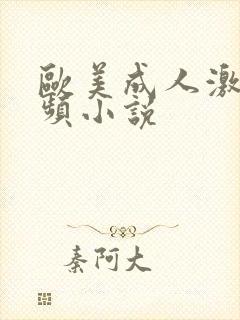 欧美成人激情视频小说