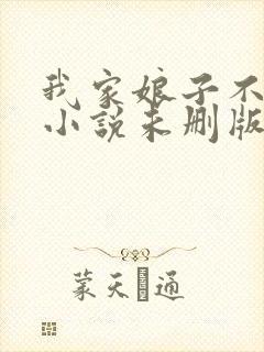我家娘子不对劲小说未删版下载txt