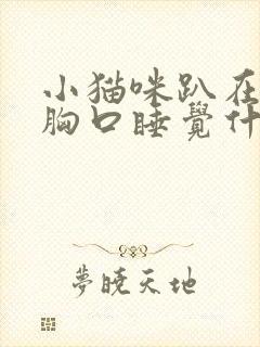 小猫咪趴在主人胸口睡觉什么意思