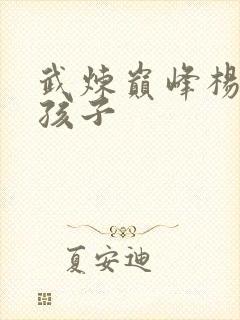 武炼巅峰杨开的孩子封面