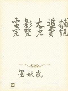 电影大追捕在线完整免费观看国语封面