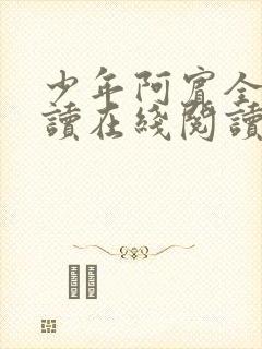 少年阿宾全文阅读在线阅读全文第一季封面