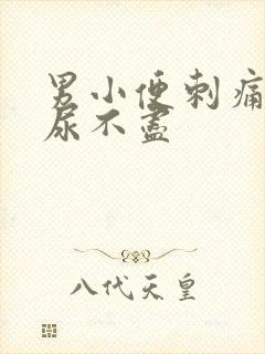 男小便刺痛尿频尿不尽