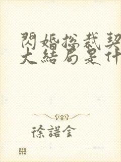 闪婚总裁契约妻大结局是什么封面