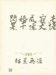 闪婚成宠老公竟是千亿大佬免费阅读txt