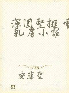 浑圆坚挺 雪白 乳房小说封面