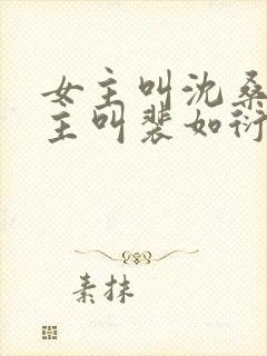 女主叫沈桑宁男主叫裴如衍的小说