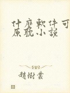 什么软件可以看原耽小说