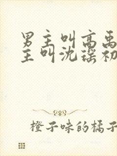 男主叫高禹川女主叫沈瑶初的短剧