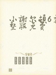 小谢尔顿6季完整版免费