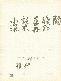 小说在线阅读情深不再许