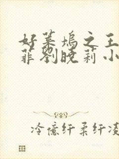 好莱坞之王刘亦菲刘晓莉小说