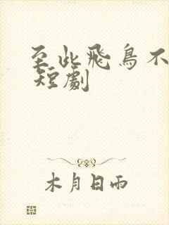 至此飞鸟不相逢 短剧