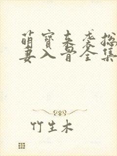 萌宝来袭总裁宠妻入骨全集免费