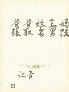 爸爸姓王妈妈姓张取名男孩