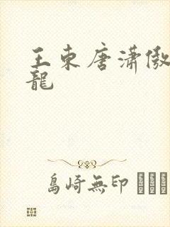 王东唐潇傲世潜龙