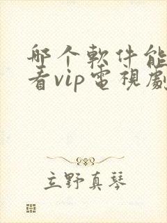 哪个软件能免费看vip电视剧