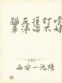 猫反复打喷嚏流鼻涕治不好