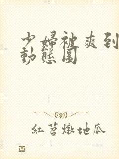 少妇被爽到高潮动态图封面