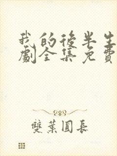 我的后半生电视剧全集免费观看