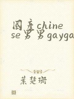 国产chinese男男gaygay视频网站