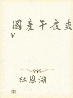 国产午夜爽爽av