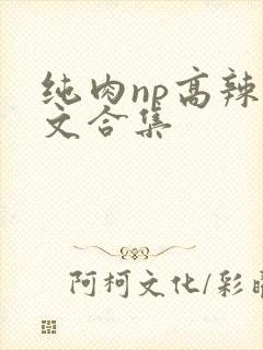 纯肉np高辣h文合集