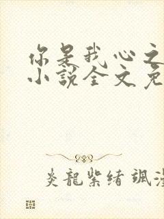 你是我心之所向小说全文免费阅读