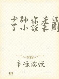 少帅你老婆又跑了小说未删减版