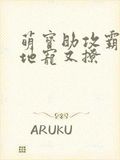 萌宝助攻霸道爹地宠又撩封面