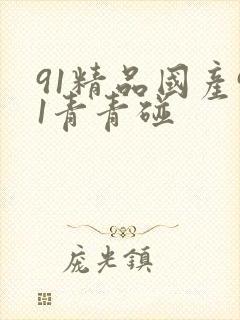91精品国产91青青碰封面