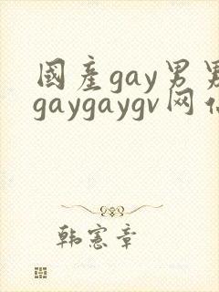 国产gay男男gaygaygv网站
