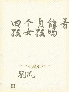 四个月能看出男孩女孩吗