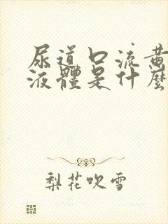 尿道口流黄色的液体是什么