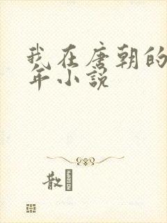 我在唐朝的那些年小说封面