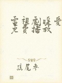 电视剧暖爱全集免费播放封面