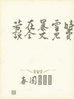 若在暴雪时分小说全文免费阅读