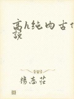 高h纯肉古代小说封面