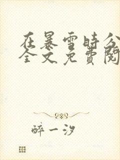 在暴雪时分小说全文免费阅读未删减版