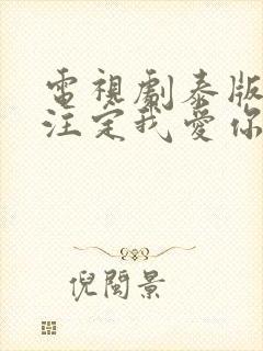 电视剧泰版命中注定我爱你在线封面