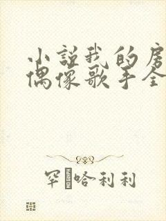 小说我的房东是偶像歌手全文阅读