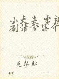 小大夫 电视剧剧情分集介绍