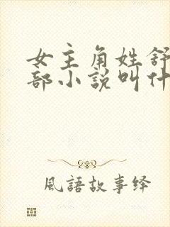 女主角姓舒的全部小说叫什么