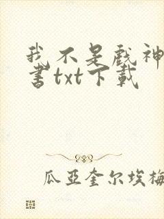我不是戏神电子书txt下载