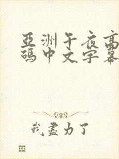 亚洲午夜高清乱码中文字幕