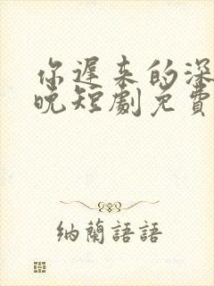 你迟来的深情太晚短剧免费观看