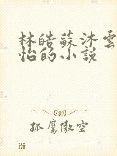 林皓苏沐云李静怡的小说