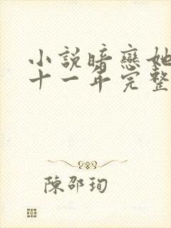 小说暗恋她的第十一年完整版