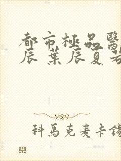 都市极品医神叶辰 叶辰夏若雪