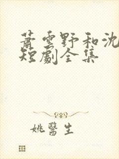 萧云野和沈昭宁短剧全集